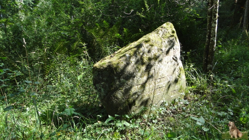 Ritterstein Nr. 210-5b Ruine Storrwoogerhof - Forsthaus.JPG - Ritterstein Nr.210 Ruine Storrwoogerhof - Forsthaus